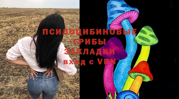 СК Абаза