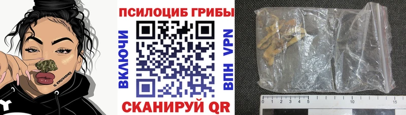 Псилоцибиновые грибы прущие грибы  наркотики  Чита 